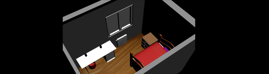 First Image